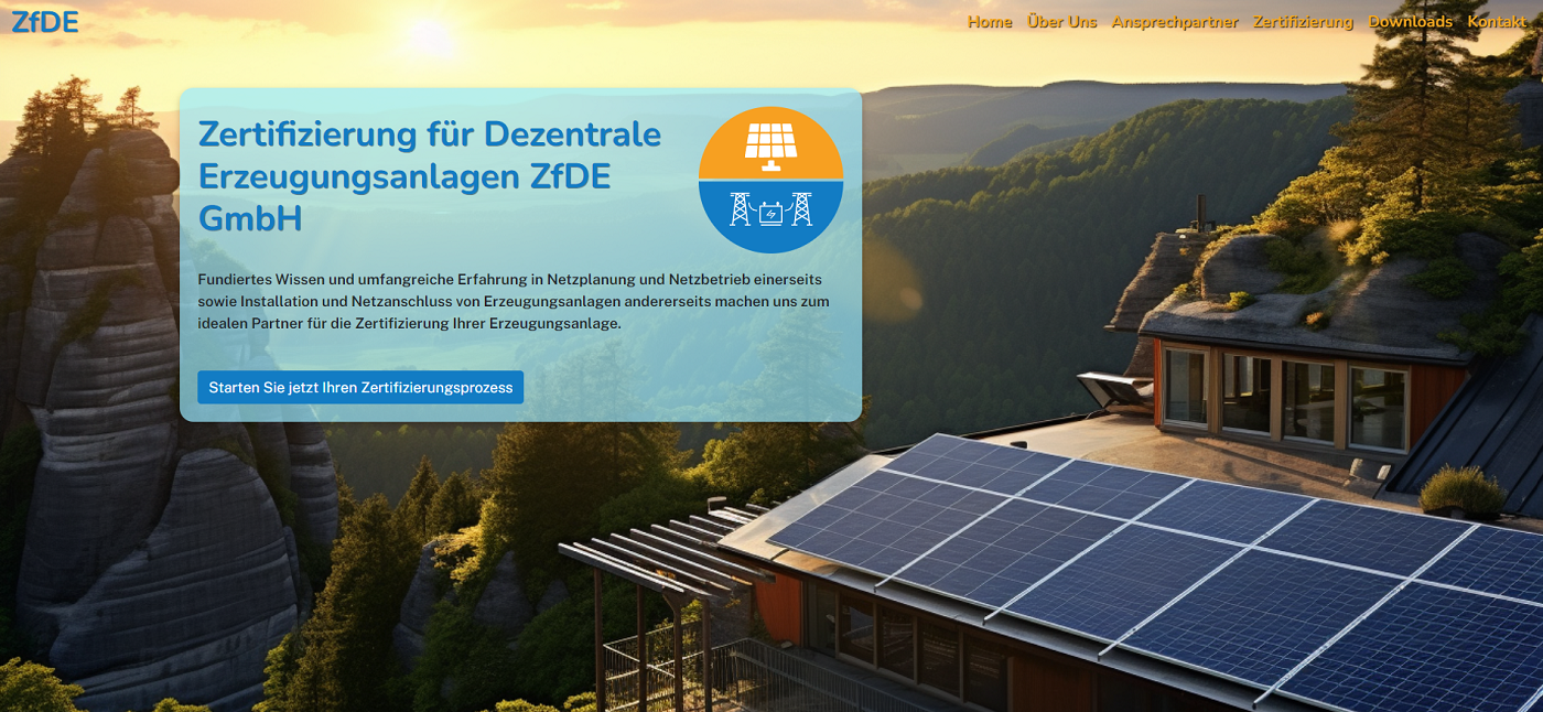 Screenshot of ZfDE GmbH landing page